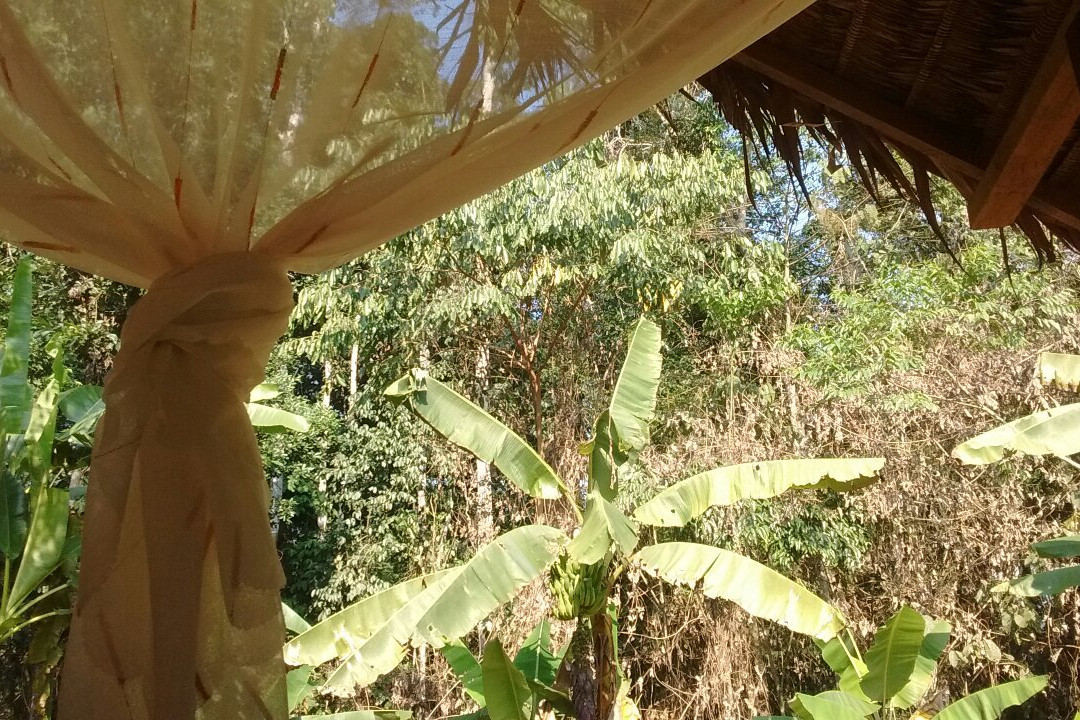 Alto Tambopata Lodge