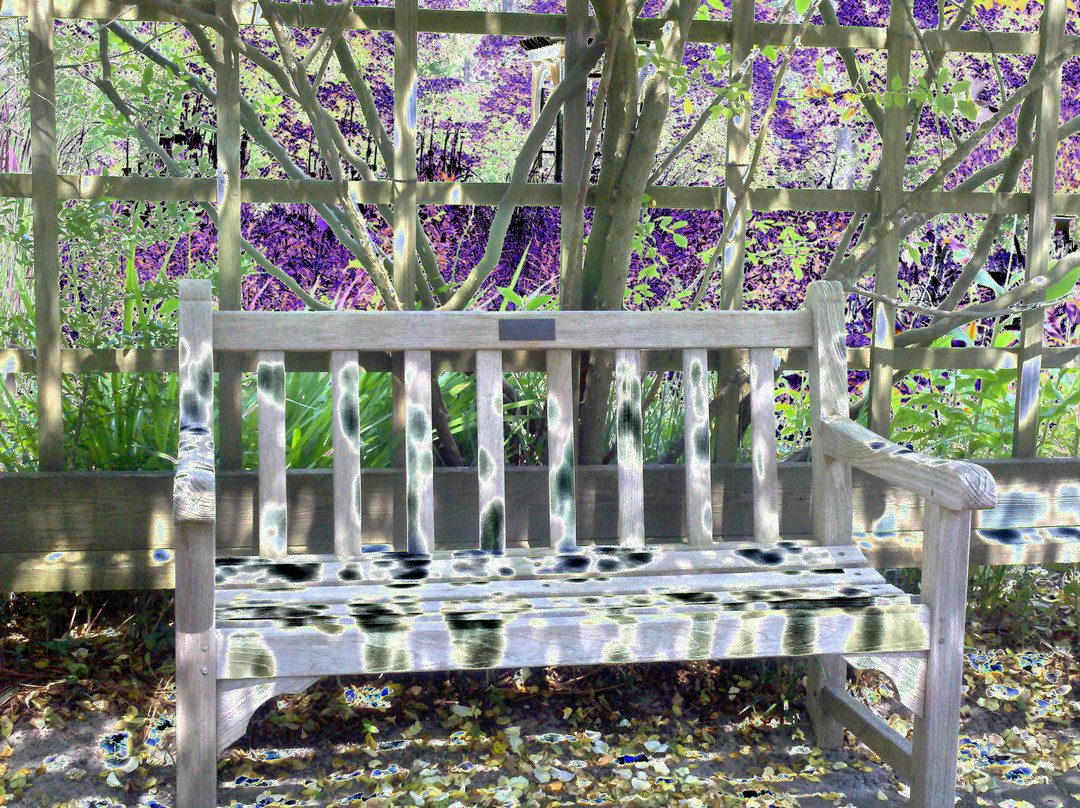 Sandhills Horticultural Gardens景点图片