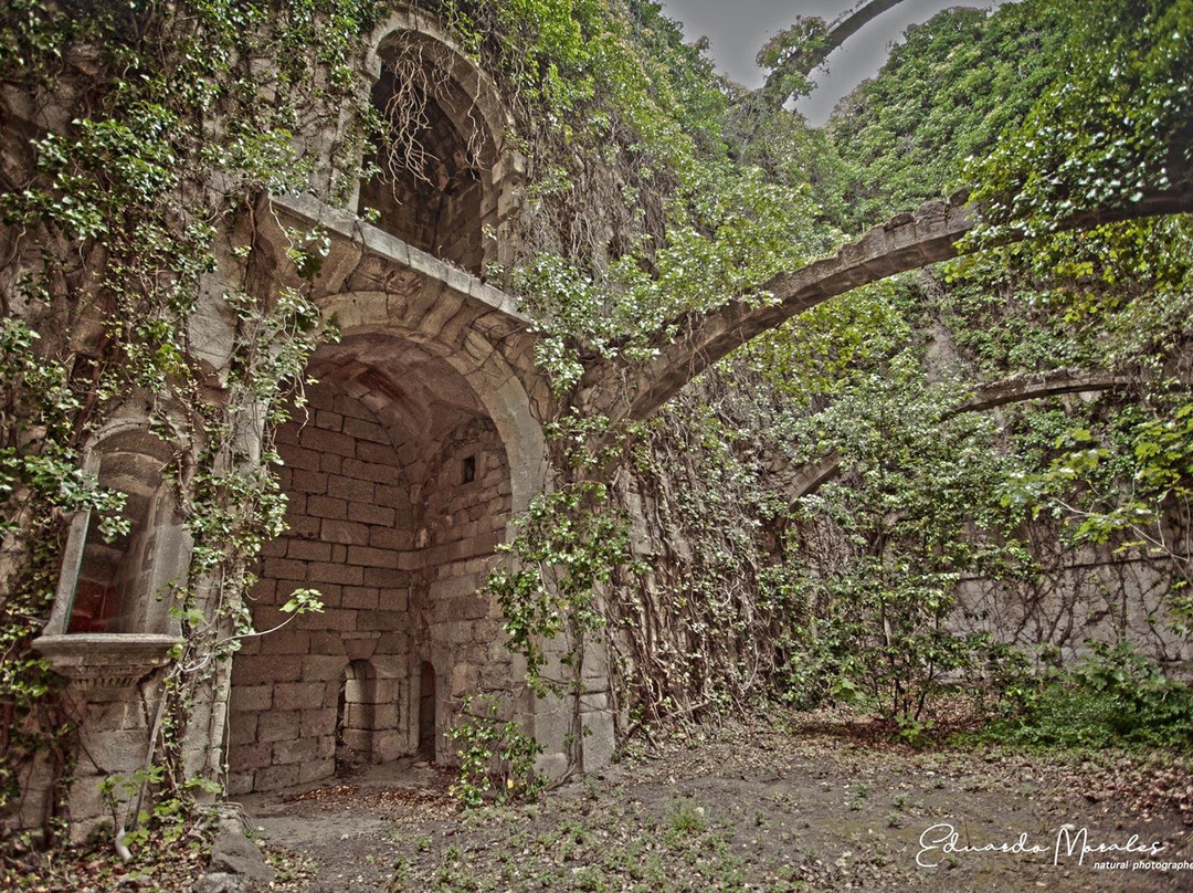 Monasterio de Guisando景点图片