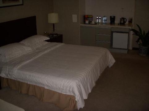 海格国际酒店-客卧