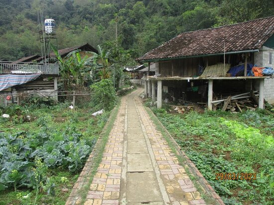 Phuc Sen Forging Village景点图片