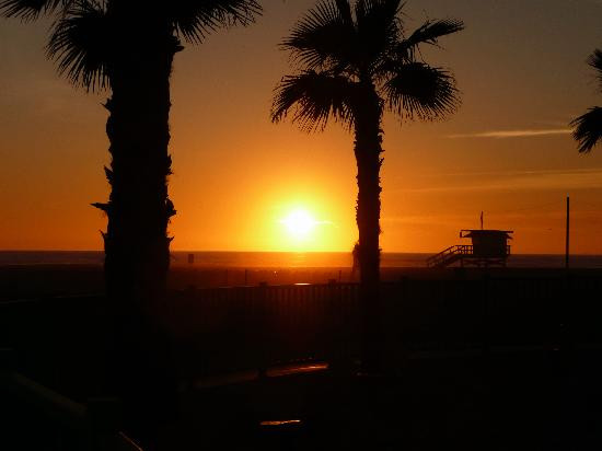 威尼斯海滩-洛杉矶必去景点