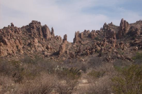 Chihuahuan Desert景点图片