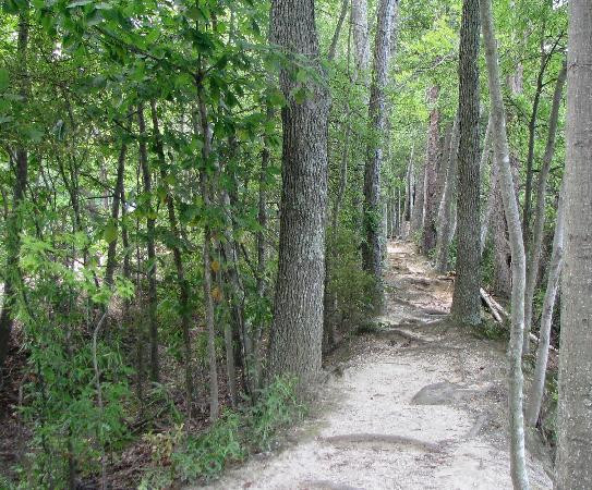 Three Lakes Park & Nature Center-里士满必去景点