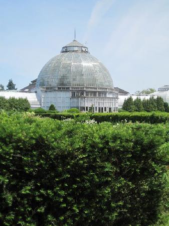 Anna Scripps Whitcomb Conservatory-底特律必去景点