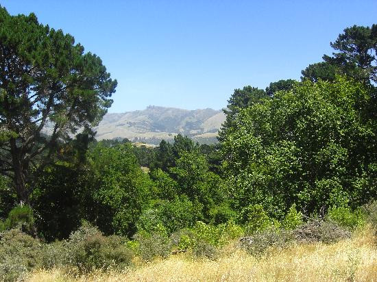 鹌鹑岛-基督城必去景点