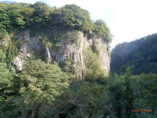 Tatsugaiwa Water Fall景点图片