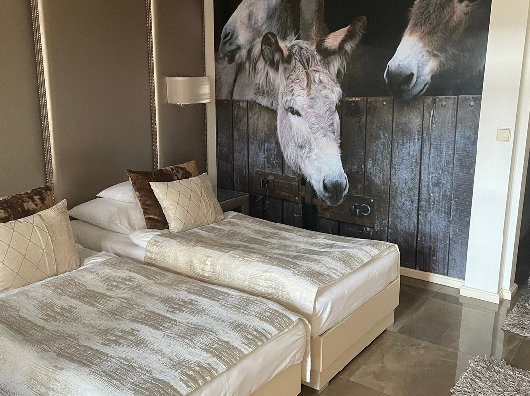 Varga Tanya Horse Show景点图片
