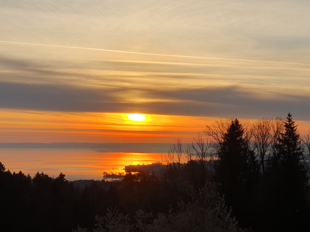 Landgasthof Hittenkirchen宾馆