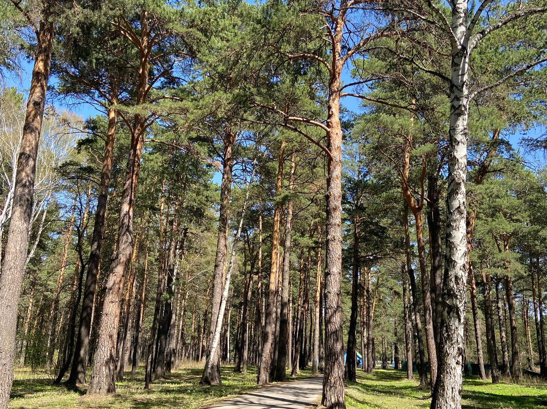 Zenkovskiy Park-Prokopyevsk必去景点