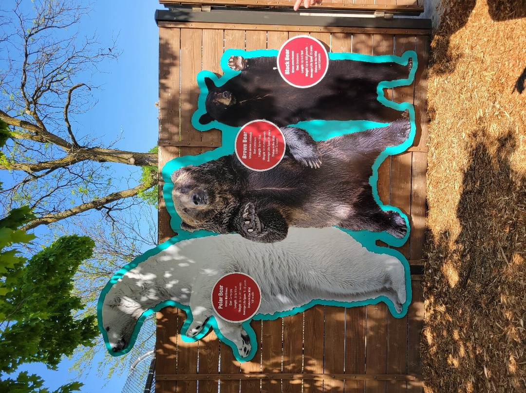 Great Plains Zoo-苏福尔斯必去景点