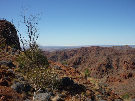 Spirit Safaris-Surry Hills必去景点
