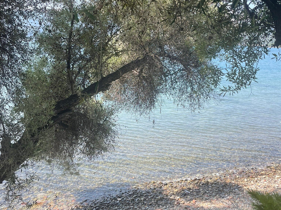 Knight Island-费特希耶必去景点