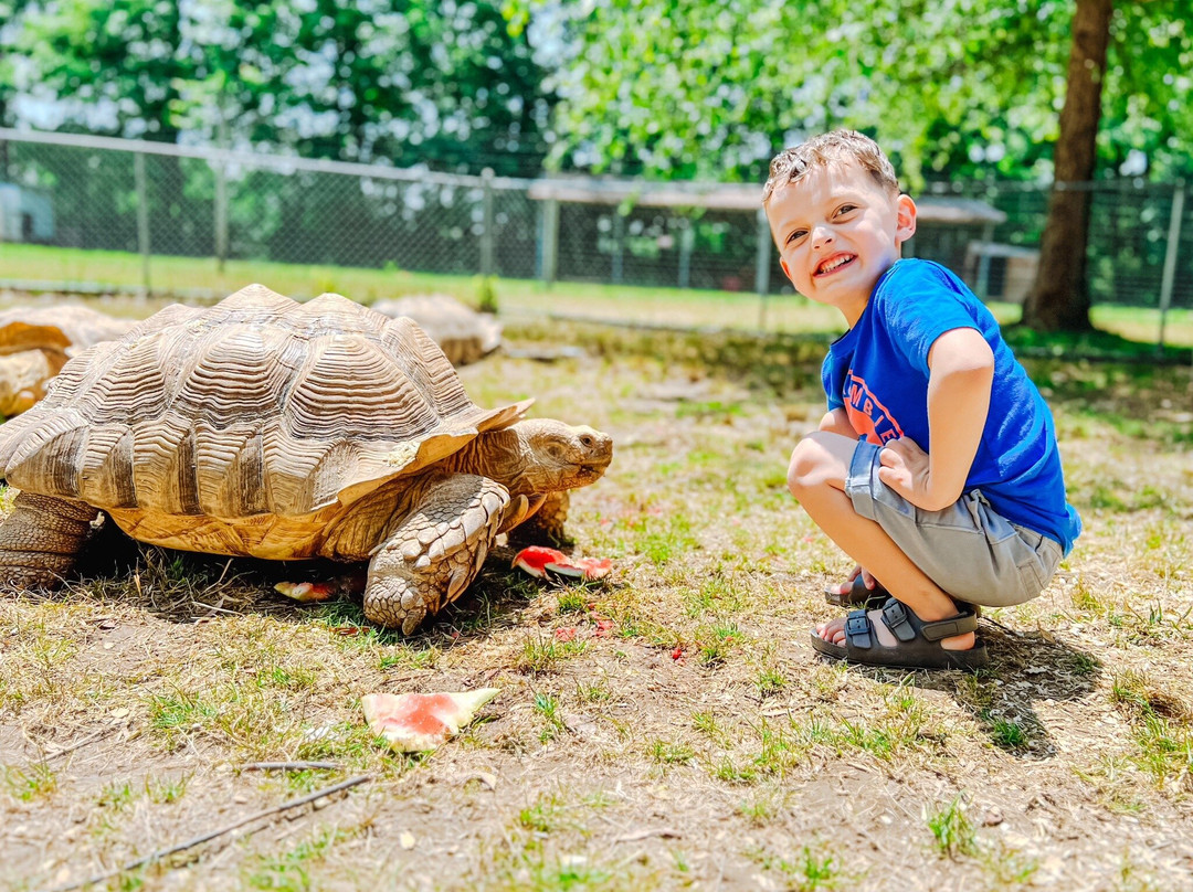 Noah's Lost Ark, Inc.-Berlin Center必去景点