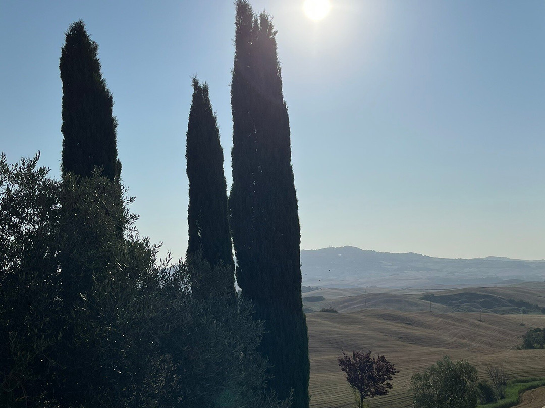 Agriturismo Lucertola