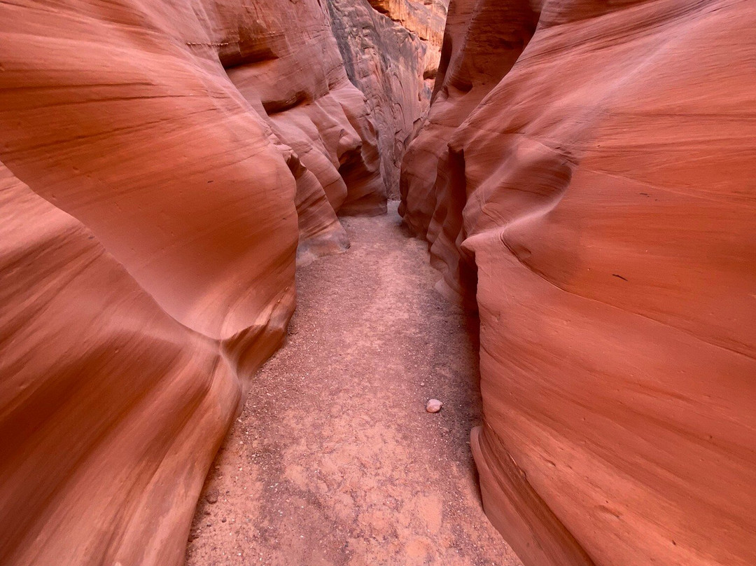 Kayak Lake Powell - Rentals and Day Tours景点图片