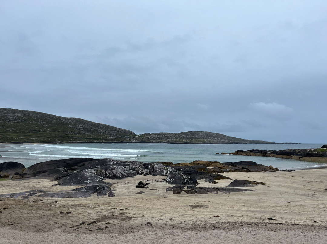 Wild Derrynane Walking Tours-Caherdaniel必去景点