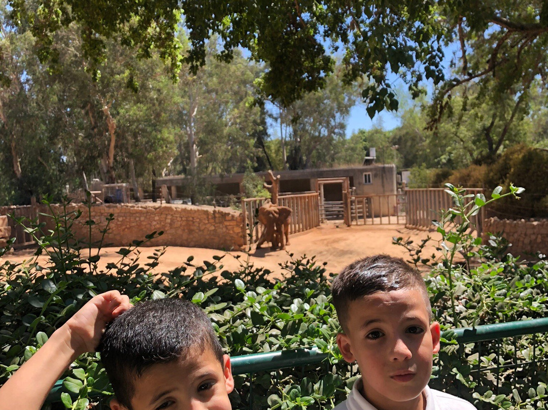 Ramat Gan National Park-拉马干必去景点