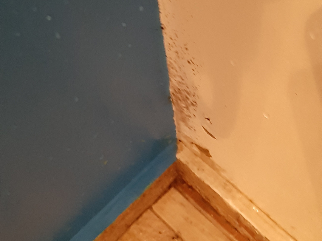 Casa Bom Dia Mindelo主图