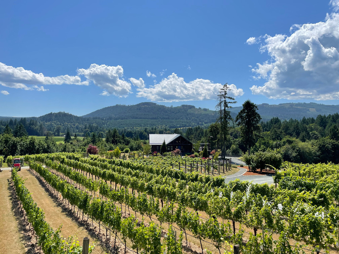 Blue Grouse Estate Winery and Vineyard景点图片
