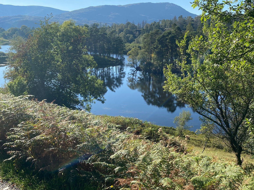 Moss Eccles Tarn-安布赛德必去景点