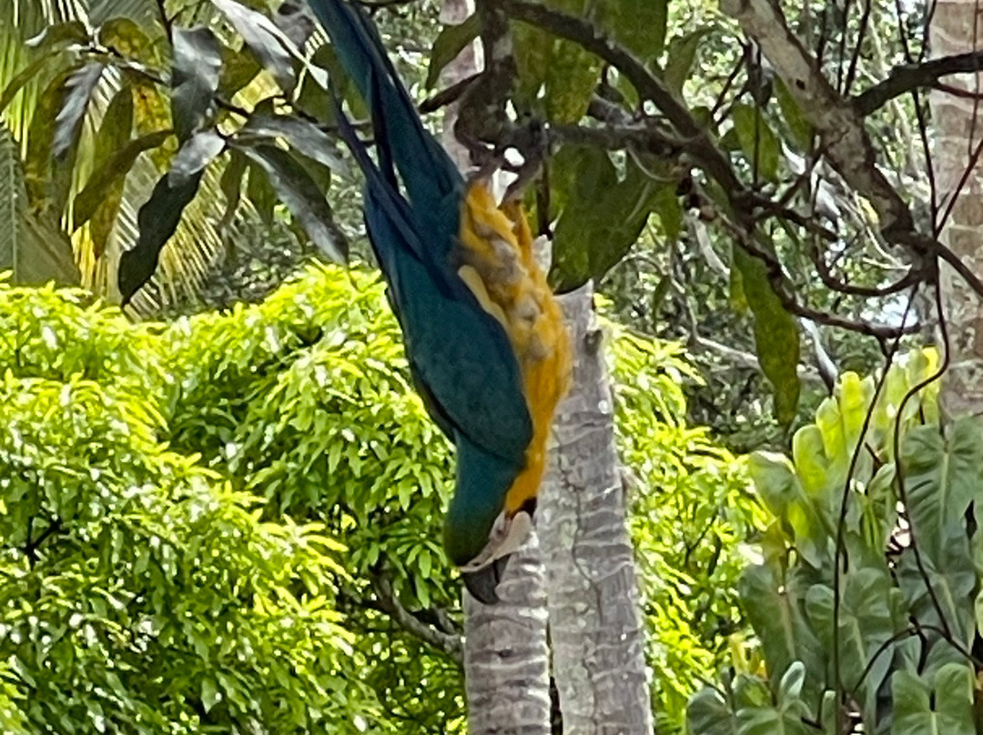 Hotel Hacienda El Diamante主图