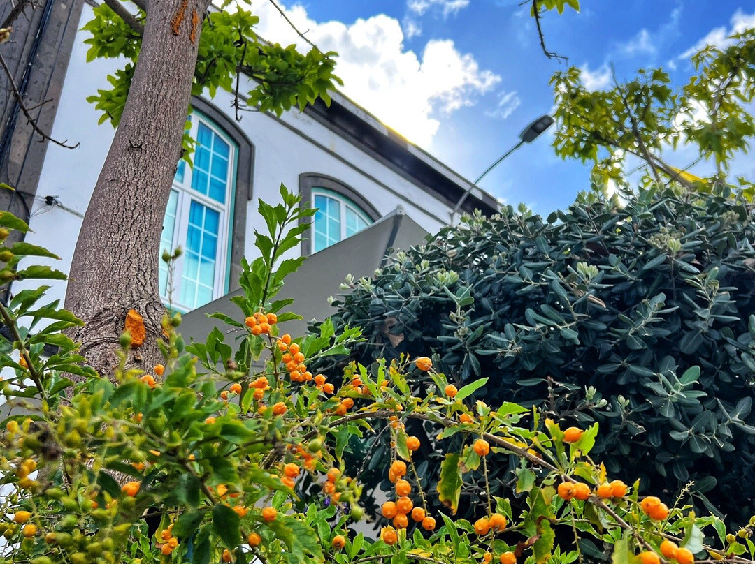 Canarian Transfer-英国人海滩必去景点