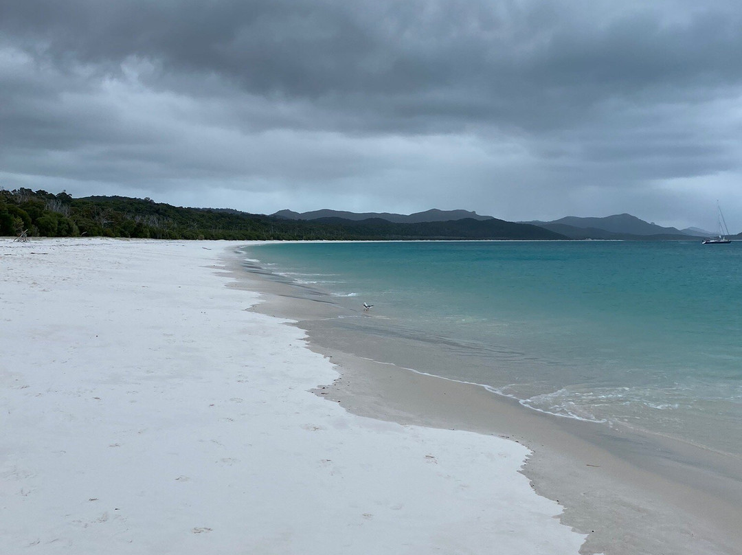 SeaLink Whitsundays-艾尔利滩必去景点