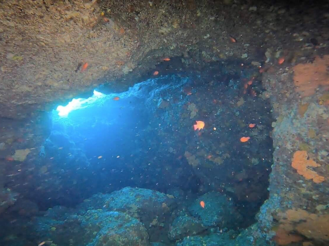 Deep Blue Divers-塞沃塔必去景点