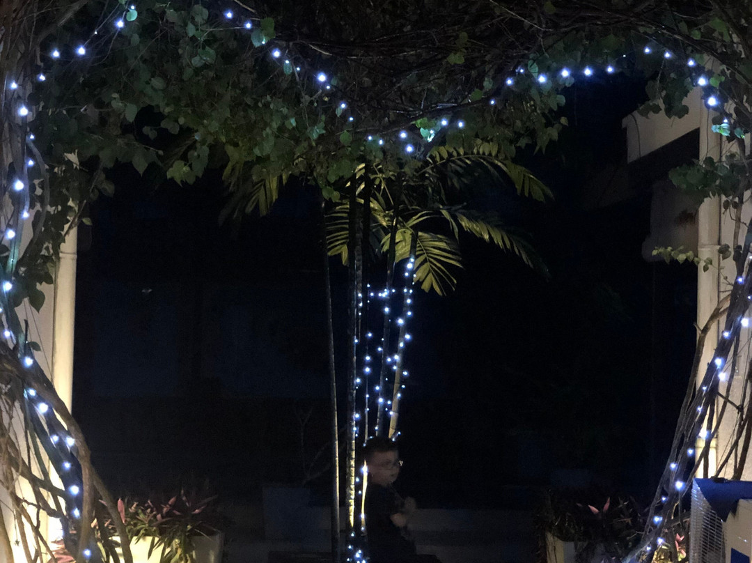 Royal Lotus Villa主图