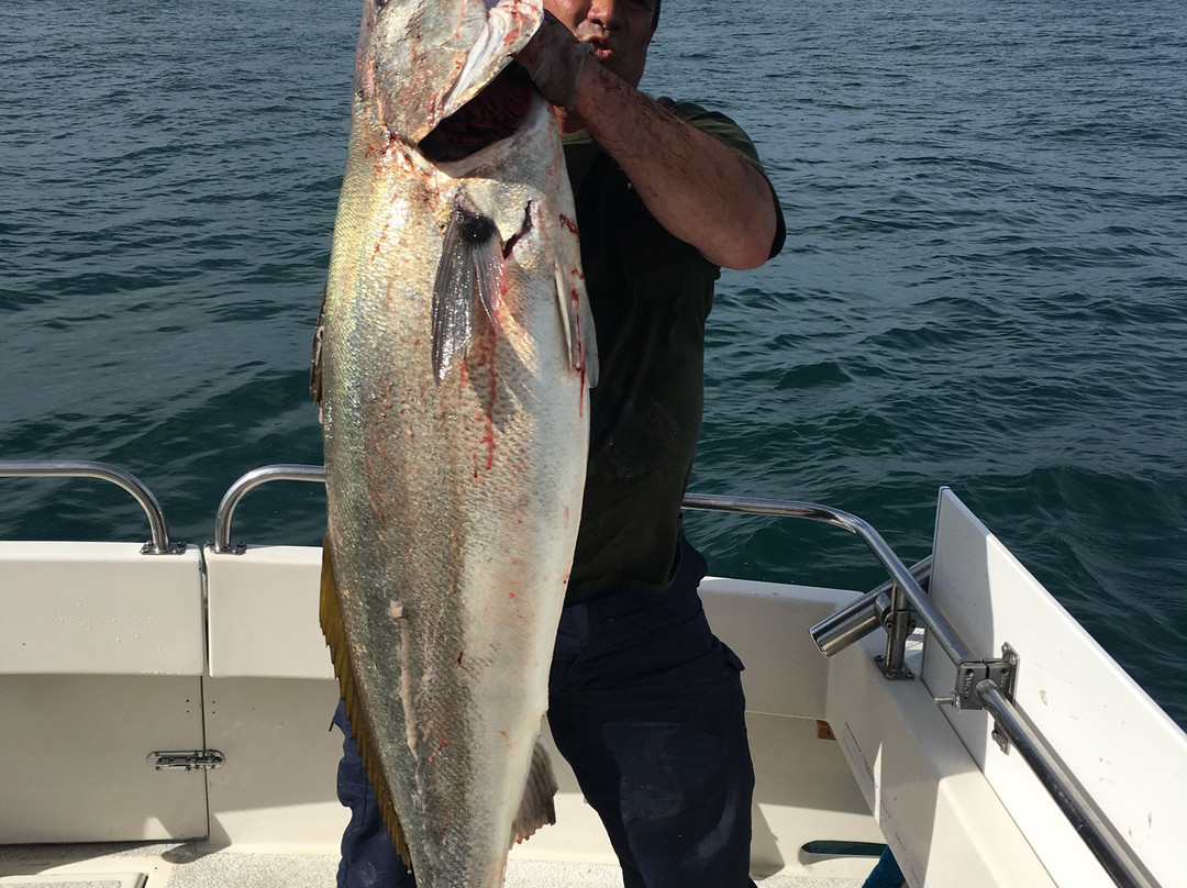 Four Reel Sportfishing-长滩必去景点