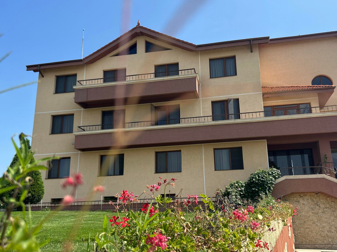 Hotel Troesmis