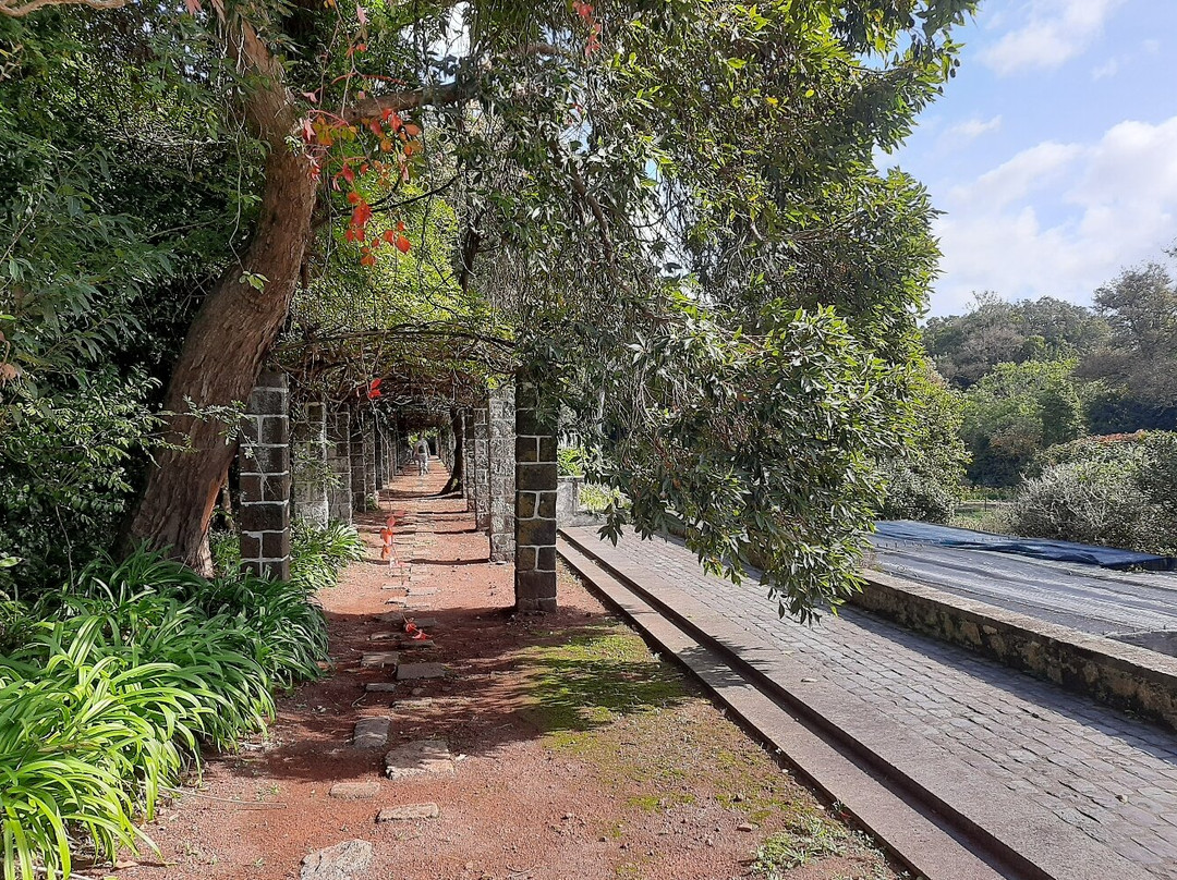 Jardim de Sant'Ana-蓬塔德尔加达必去景点