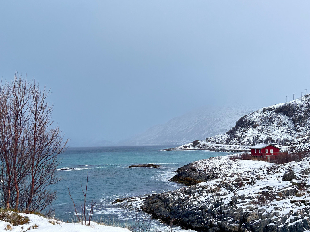 Northern Norway Travel-特罗姆瑟必去景点