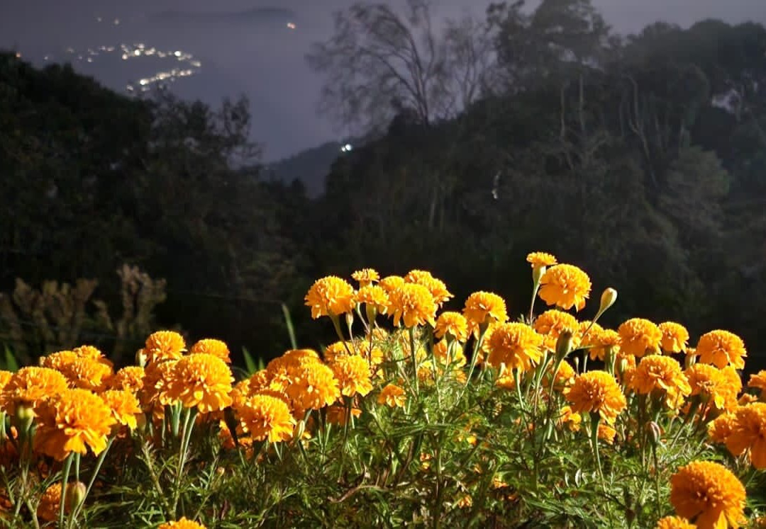 Tinchuley Gurung Homestay