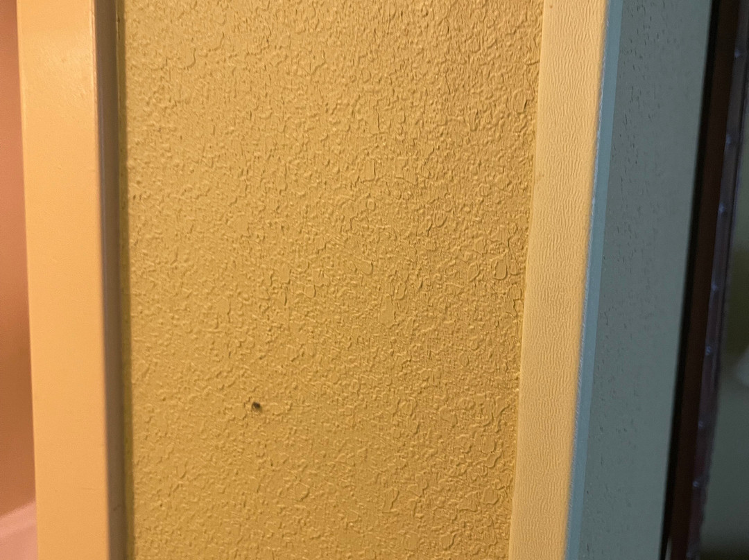 Homewood Suites by Hilton Ocala at Heath Brook主图