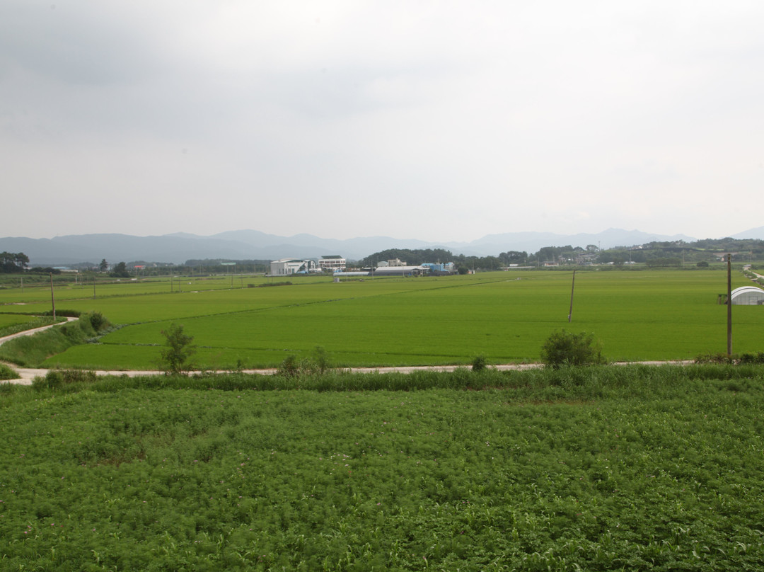 Gochang Dolmen Museum-高敞郡必去景点