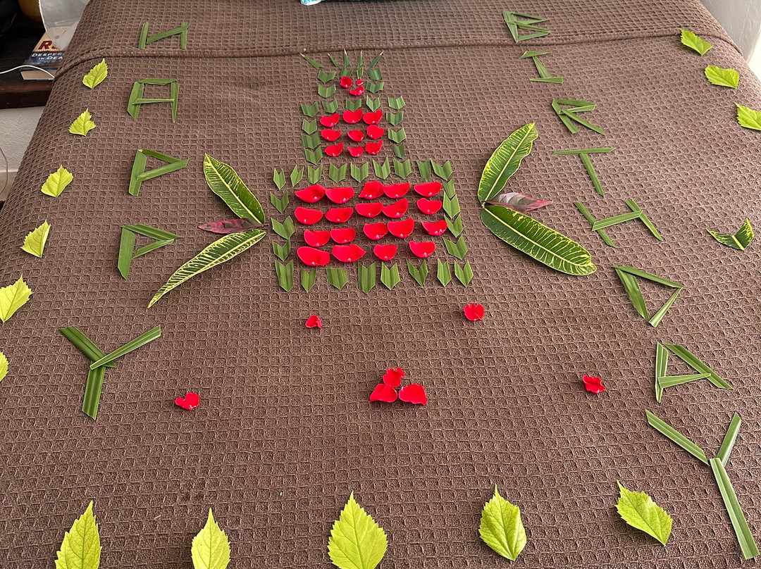 图卢姆小屋主图