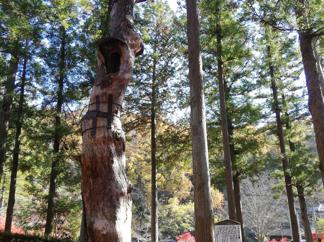 Chorin-ji Temple-足利市必去景点