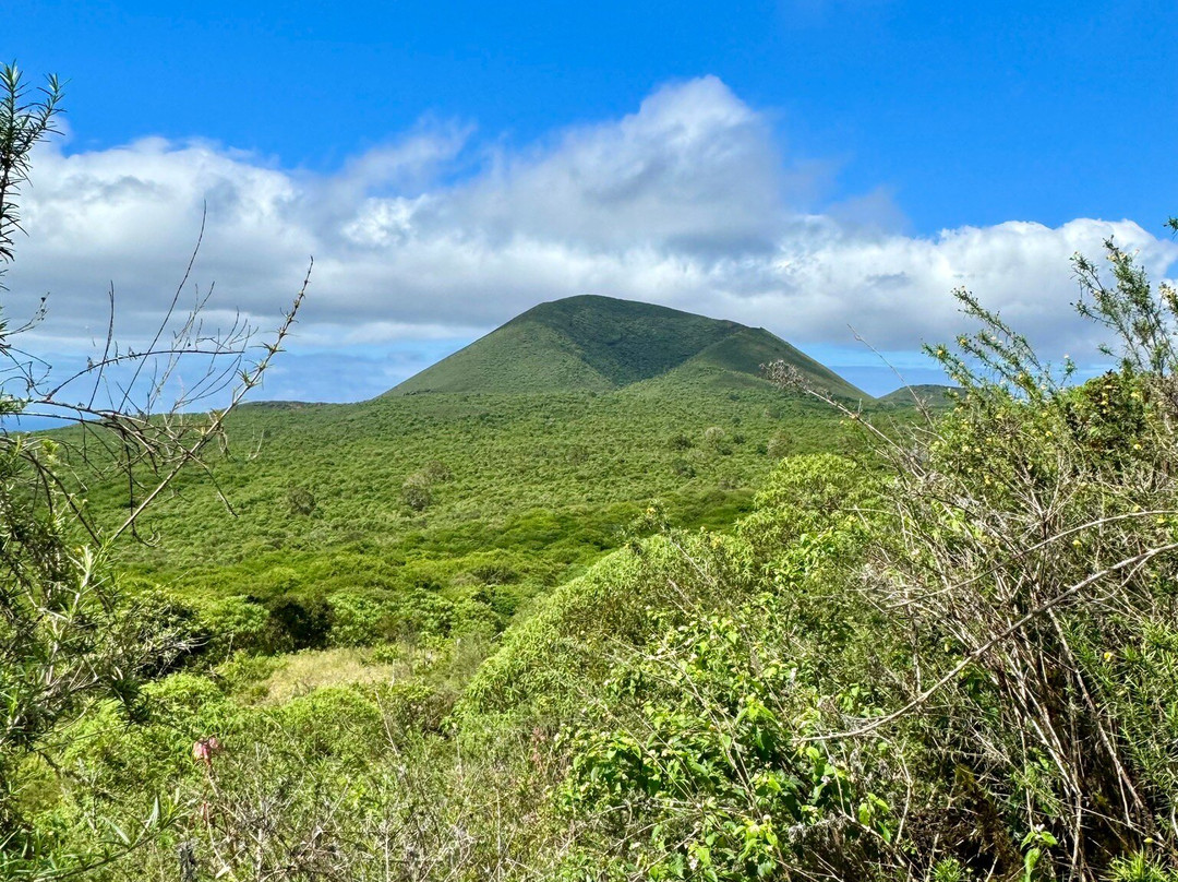 Asilo de la Paz-Floreana必去景点