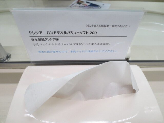 纸博物馆-北区必去景点