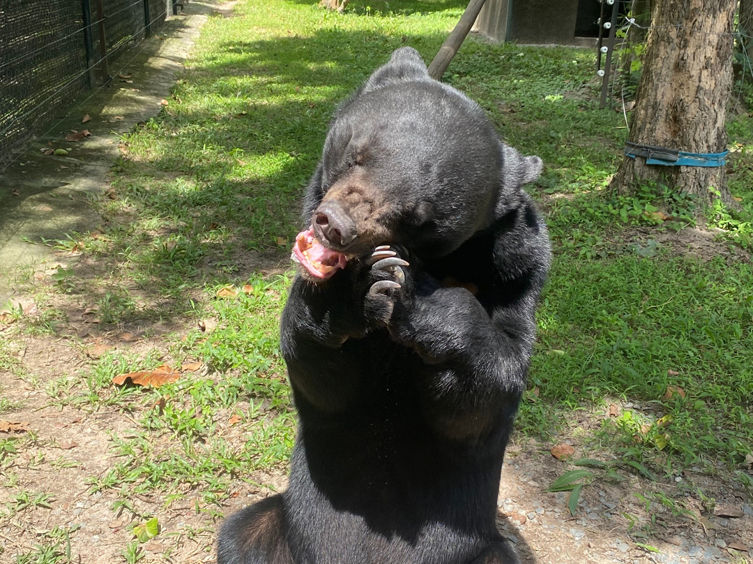 Eagle Cambodia Travel-暹粒必去景点