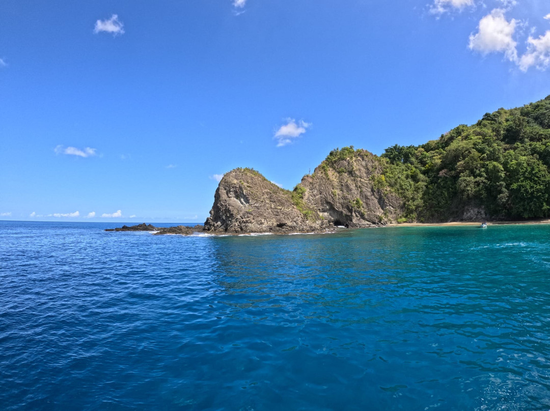 Top Catch Tobago Charters-Buccoo必去景点