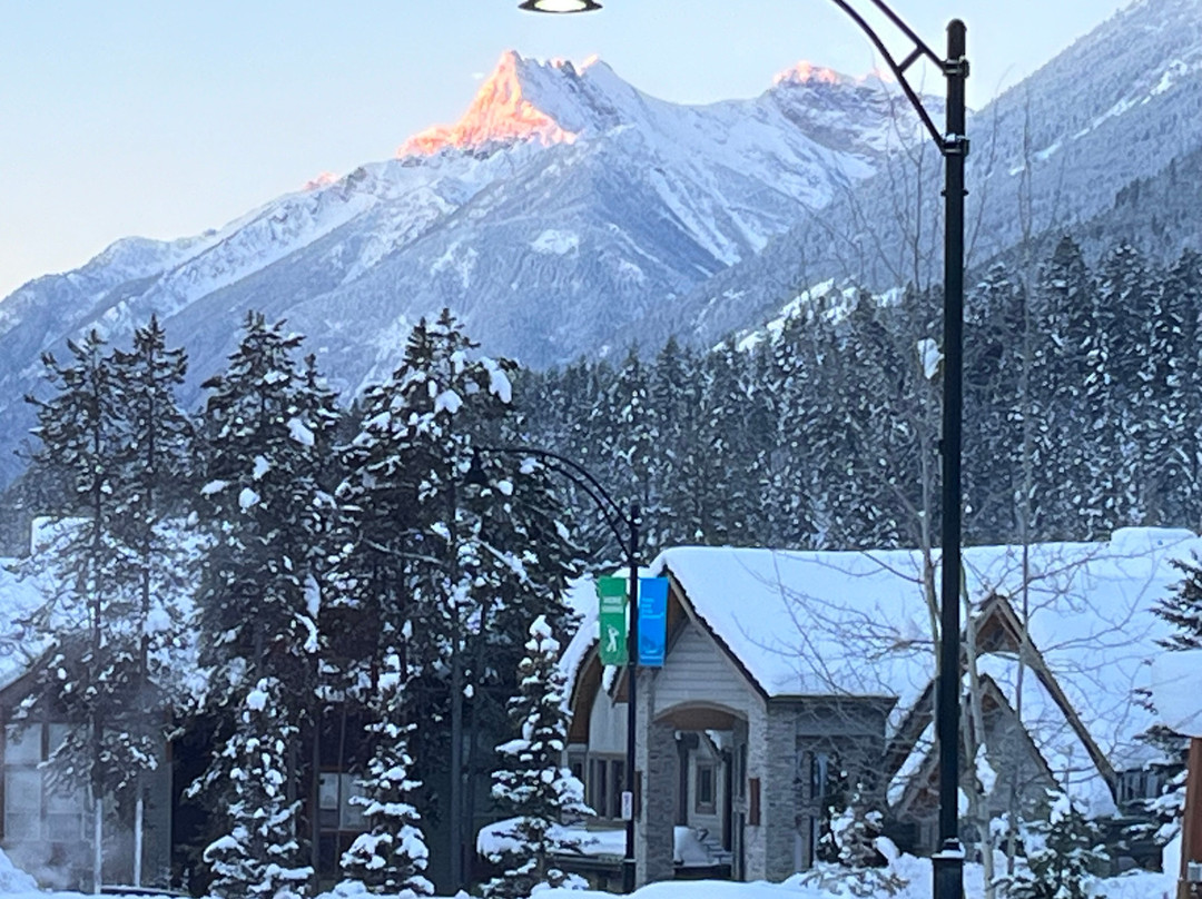 Earl Grey Lodge主图