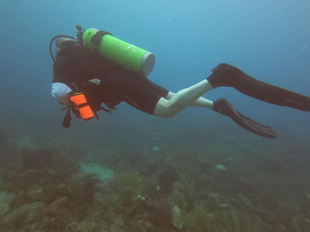 Environmental Research Institute Charlotteville-Charlotteville必去景点
