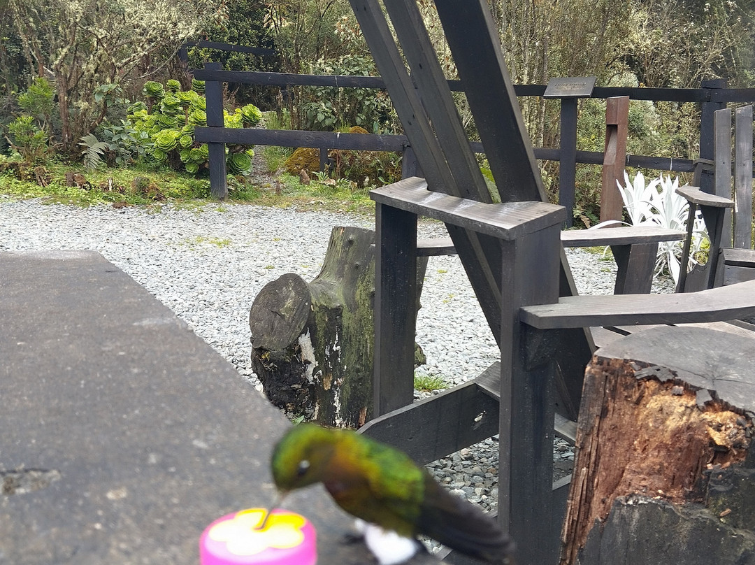 Ruiz Hot Springs-Manizales必去景点