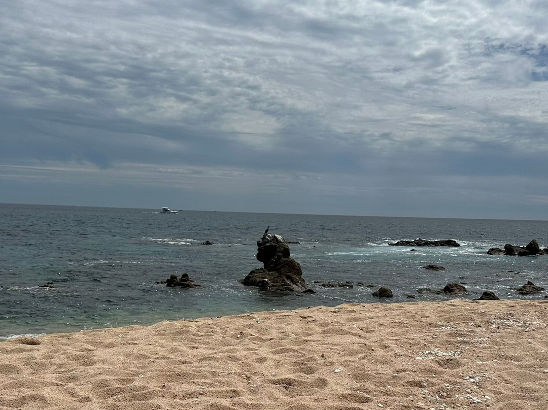 Brown's Private Services Transportation-卡波圣卢卡斯必去景点