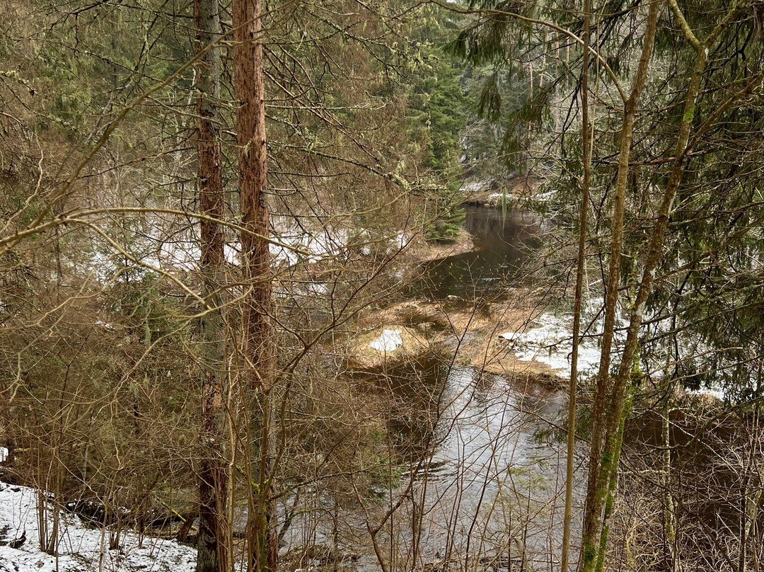 Taevaskoja Nature Trail-Polva必去景点