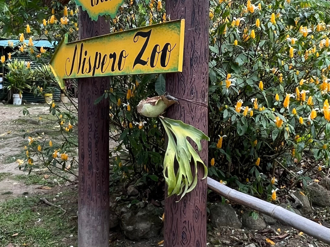 El Nispero Zoo and Botanical Garden景点图片