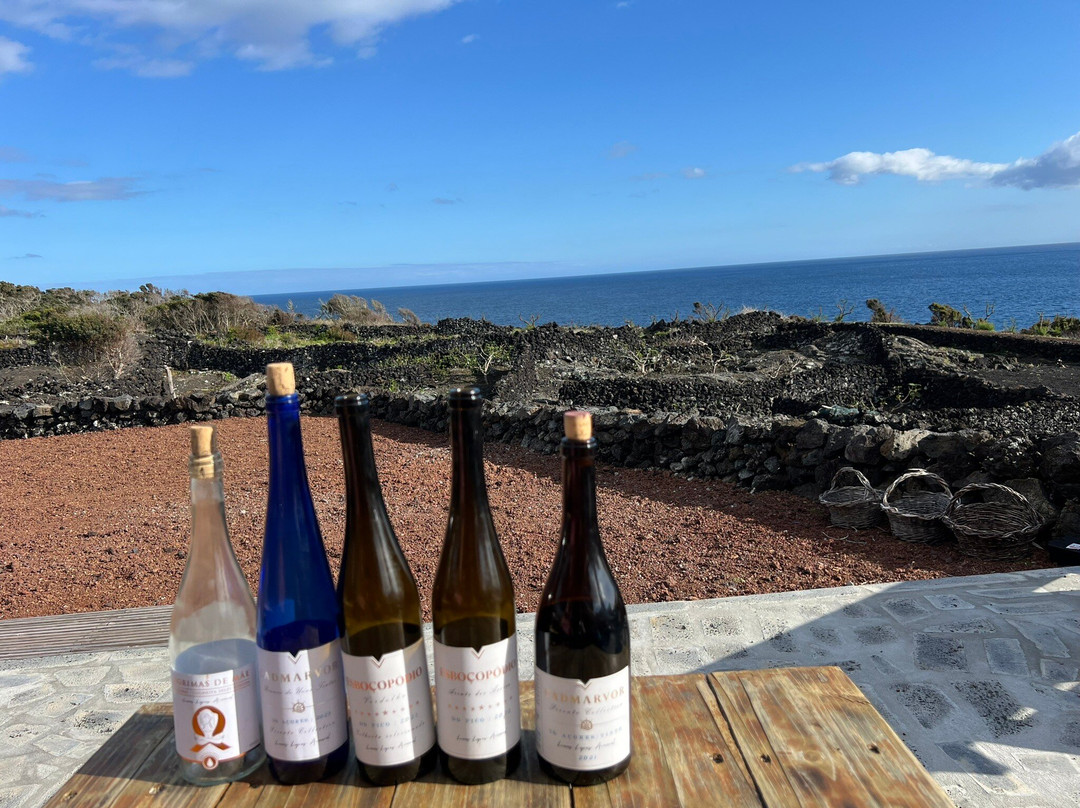 Adega Vitivinícola Lucas Lopes Amaral